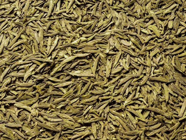 Té verde, ingrediente de Vitalfit